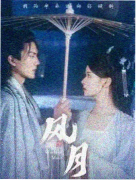 水平梯田的田面与垂直埂坎结构示意画面